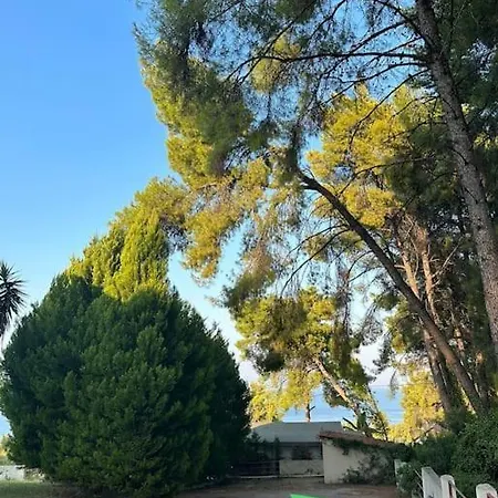 بيت للعطل Xenia *