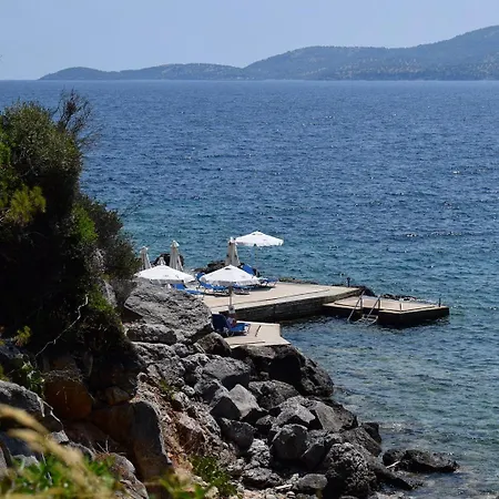 Holiday home Pine Xenia Paliouri