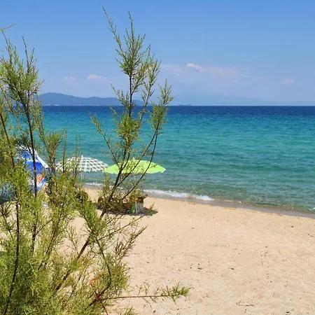 Pine Xenia * Paliouri